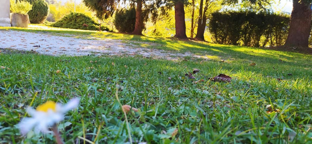 Green House Next - Lovely Apartment For Family And Free Parking Levico Terme Εξωτερικό φωτογραφία