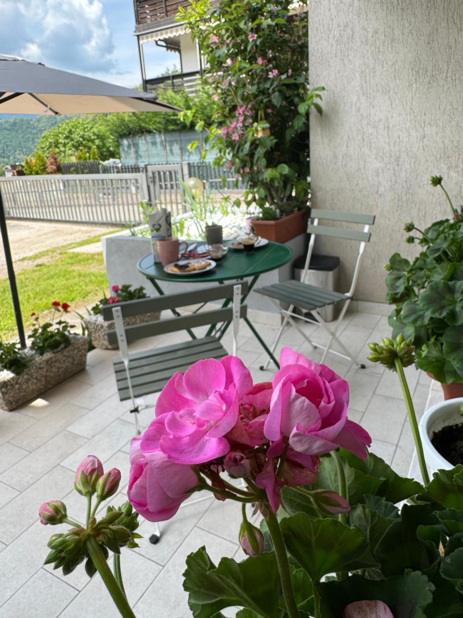 Green House Next - Lovely Apartment For Family And Free Parking Levico Terme Εξωτερικό φωτογραφία